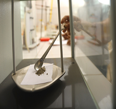 Silicon Cement Lab